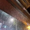 토리마쯔리 이미지