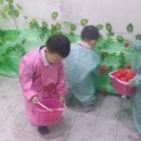 서율농장 이미지