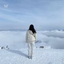 마이스코 | 오스트리아 첼암제 2일차: 카프룬센터, 마이스코겔반 알파인코스터, 키츠슈타인호른 탑오브잘츠부르크...