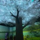 충북교육박물관 | 제천 의림지 역사박물관 후기｜의림지 산책이 ‘여행’이 되는 곳 (실감콘텐츠+가족체험까지)