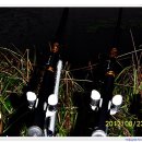 평촌세천 이미지