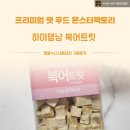 하이댕냥 이미지