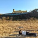 35-굴렁쇠사천4기역사생태체험단-밀양미리벌민속박물관,표충비각,사명대사기념관,영산정사를 다녀오다. 이미지