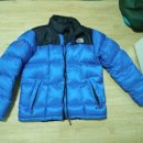 조이노스 이미지