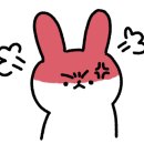 죽도회타운 이미지