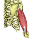 직선 퍼스널트레이닝 이미지