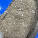 하얀기쁨운동화이불빨래방 | [대구어그세탁] UGG 어그 눈얼룩 세탁 ✨ 물세탁으로 말끔하게 제거한 후기