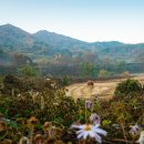 명천체험마을 이미지