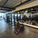 펠리스짐(능동점) 이미지