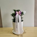 동탄화분팜 이미지