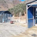 전원시대강상공인중개사사무소 이미지