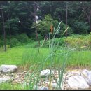 원종열쇠 이미지