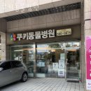 쿠키동물병원 | 강북구 삼각산동 동물병원 쿠키동물병원 진료시간 접근성 이용후기
