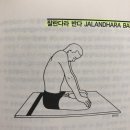 반다요가 이미지