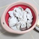 퀘이사 쇼핑하우