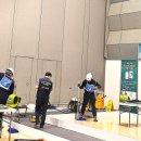 크린 코리아 이미지