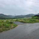 구룡2통 이미지