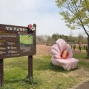 쌍암동산 이미지