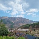 지리산털보농원 | 대원사인근명소 산청군 삼장면 숲속미술관 꼭 가보세요~~~(feat. 지리산털보농원 &amp; 펜션)