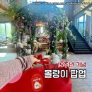 몰랑이 15주년 생일파티 후기