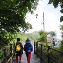 초록숲공원 이미지