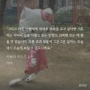 애기 상대로 말(verbal)몽둥이를 쓰네 이미지