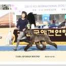 발안바이오고등학교 Daum카페