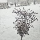 아라쉼펜션 이미지