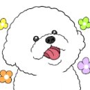 뭉구 애견 이미지