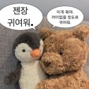 쇼킹 | 토니모리 주토피아 에디션 쇼킹립 S05 선셋볼쇼킹 착색력 후기