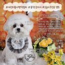 우리는미용이너무좋다