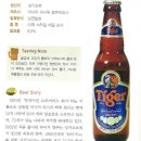 타이거 Tiger 맥주 테이스팅 노트 이미지