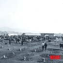 미천시장 이미지