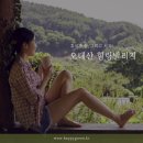 오대산힐링빌리지 이미지