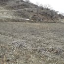 덕산면043 이미지