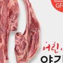 지푸드 네이버블로그