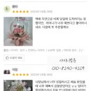 샤이니벌룬