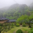 다래골식당 이미지