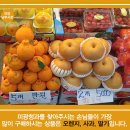 미광청과