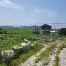 삼산면-1 이미지