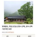 (주)씨스테이 야영장 | 양평 가볼만한 서울 근교 사찰 용문사 은행나무와 템플스테이 야영장