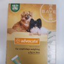 동광주 동물약국 이미지