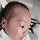[육아일기] 신생아 태열 크림추천♥ (ft. 아토팜내돈내산)