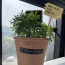 W여성외과의원 이미지