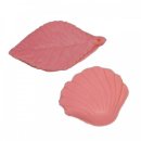 아리랑과학 이미지