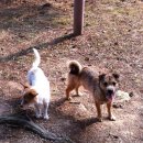 재매정길 이미지