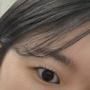 경기도 수원시 권선구 세지로112번길 25-1 (권선동) | 수원 매교동 레브로우 무쌍 속눈썹펌 후기, 유지력 좋은 속눈썹펌집 추천