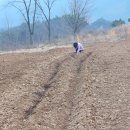 산내참조은 이미지