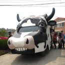 농촌목장 이미지