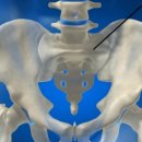 안산 마루병원 이미지